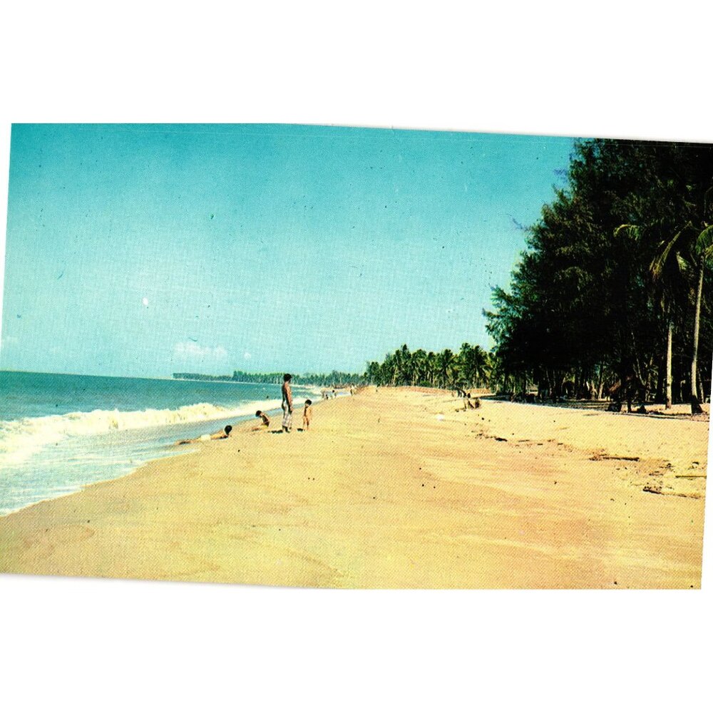Kota Bahru Beach Vintage Postcard East Coast Malaya Fine Beach Scene Collectible - Picture 1 of 2